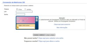 MATRÍCULA CEI 2024: Inscrições (ceiweb.receita.fazenda.gov.br)